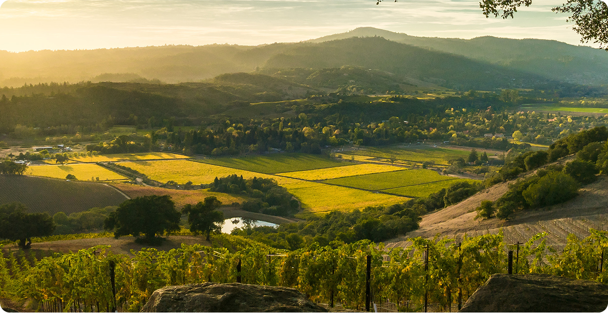 Step‑By‑Step Guide to Going Solar with Us