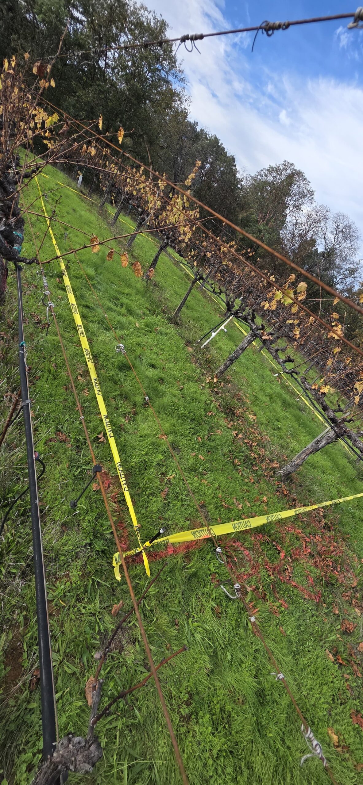 Groundmount Healdsburg Winery